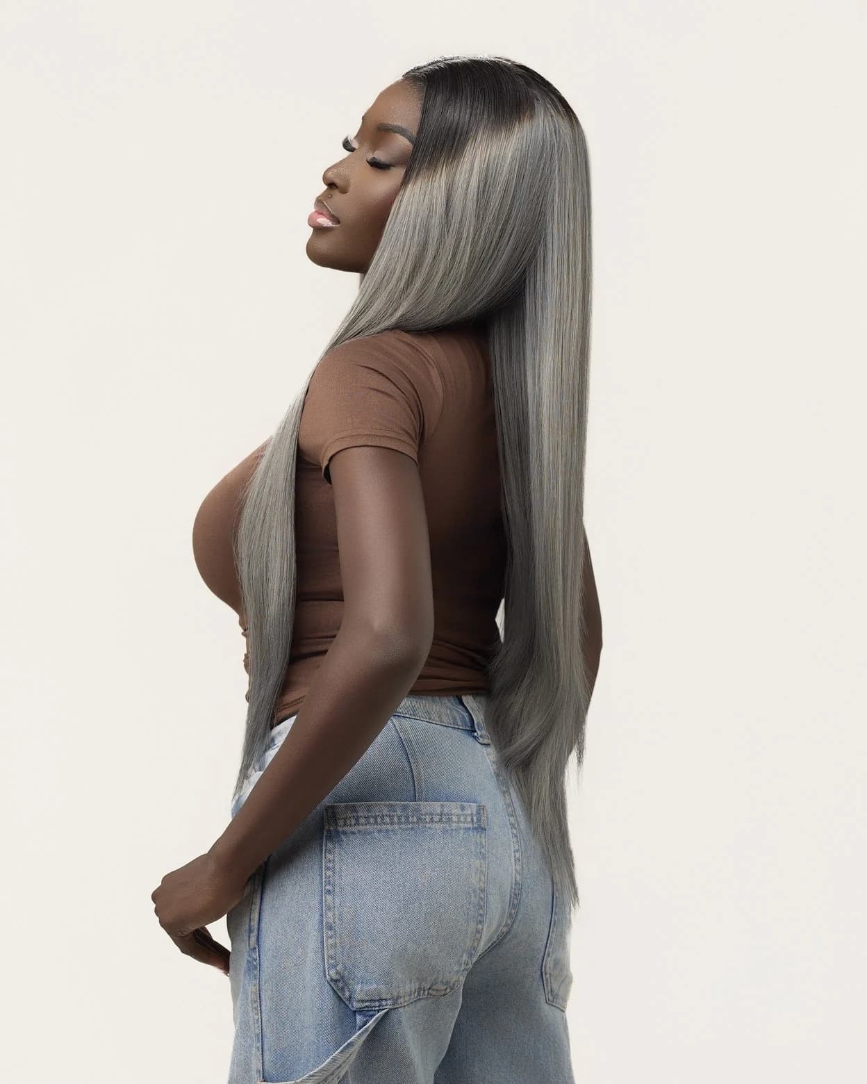 Silver Evolution luxury hair inspiration